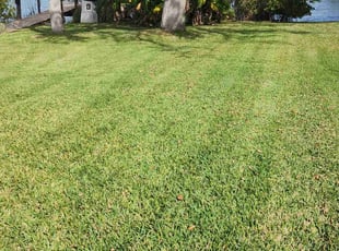 Lawrence W.'s Lawn Service service result