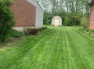 Antonio A.'s Lawn Mowing service result