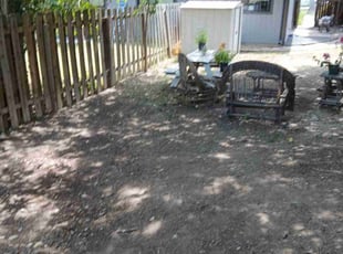 Leaf Removal by Martin Mata for Kristen H. in Lakeway, TX