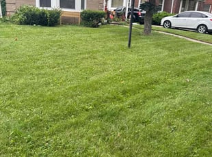 Alicia D.'s Lawn Care service result