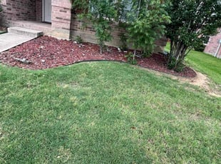 Weeding by Alex Padron for Melissa T. in Denton, TX