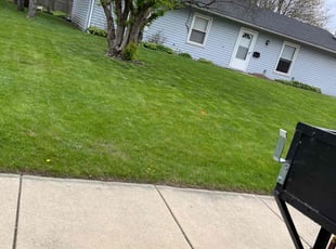 robin c.'s Lawn Service service result
