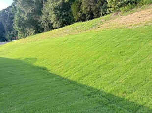 Kristen G.'s Grass Cutting service result