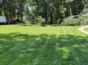 Jeff V.'s Lawn Mowing Service service result