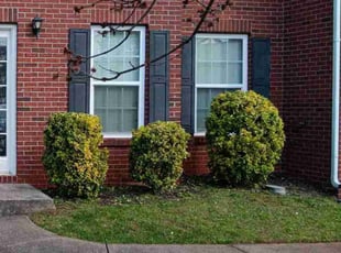 Bush Trimming by Tim Hayes for Crystal W. in McDonough, GA
