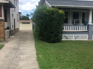 Bush Trimming by Demetrius Bennett Jr for Nicole G. in Cleveland, OH