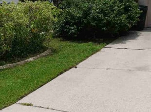 Wendell H.'s Lawn Care service result