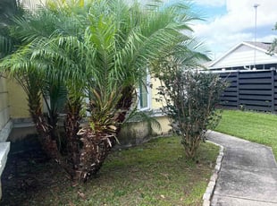 Bush Trimming by Deidra James for Lindsay R. in Orlando, FL