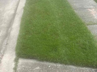 Andrew M.'s Lawn Service service result