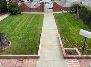 Novella F.'s Lawn Service service result