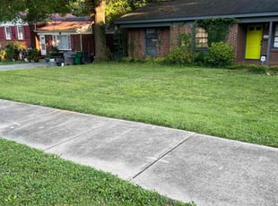 Tekishia C.'s Lawn Service service result