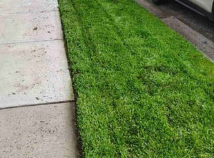 Jim R.'s Grass Cutting service result