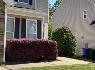 Jason P.'s Grass Cutting service result