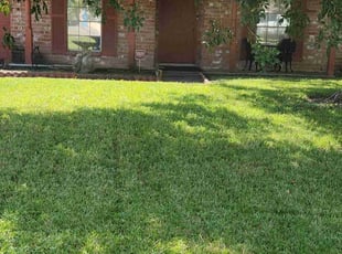 Wes S.'s Lawn Service service result