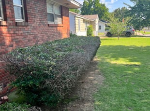 Bush Trimming by Adrien Peterson for Koorosh Z. in Edmond, OK