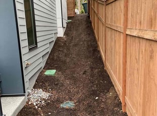 Leaf Removal by Anthony Jacob for Jason M. in Bellevue, WA