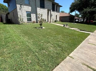 Jean p.'s Lawn Mowing service result