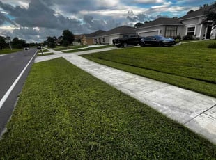Jose R.'s Yard Cutting service result