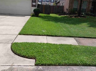 Braden T.'s Grass Cutting service result