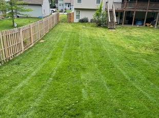Charles F.'s Yard Cutting service result