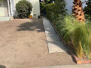 Bush Trimming by William Mendoza for Carol M. in Los Angeles, CA