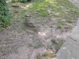 Cleanups by Randy Jordan for Luis S. in Spring, TX