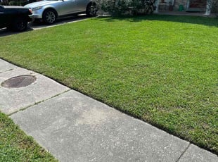 Iona D.'s Lawn Mowing service result