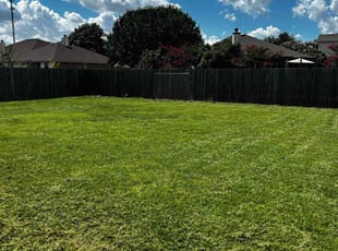Ashton B.'s Lawn Care service result
