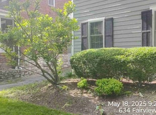 Bush Trimming by Charles Belosi for Jill Y. in Webster Groves, MO