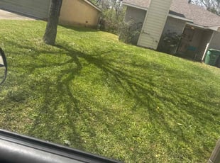 Alfred J.'s Lawn Mowing Service service result