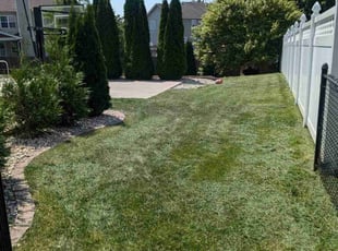 Brandon B.'s Lawn Service service result