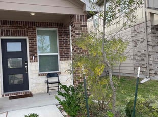Bush Trimming by Emilius Henry for Amber H. in Houston, TX