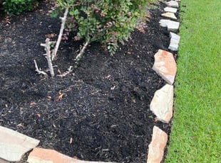 Weeding by Juan Wong for Mason M. in Cypress, TX