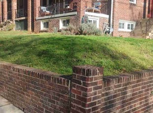 Ann N.'s Lawn Care service result