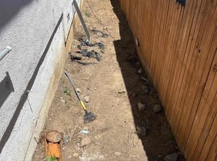 Cleanups by Wilmer Arroyo for Jadawn P. in Lake Elsinore, CA
