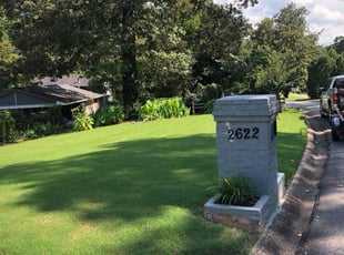 Nekesha W.'s Lawn Service service result