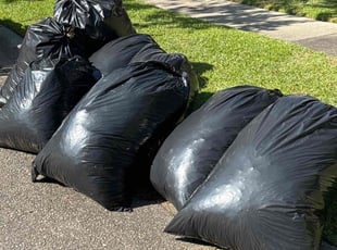 Cleanups by Amelia Brown for Teresa L. in Columbia, SC