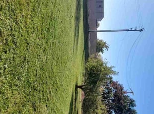 Toney B.'s Lawn Maintenance service result