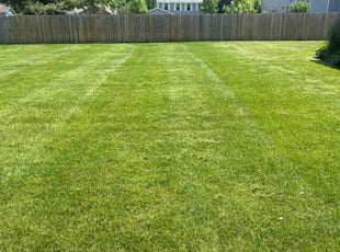 David E.'s Lawn Mowing service result