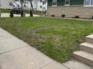 Leaf Removal by Xavier Thomas for Tal A. in Milwaukee, WI