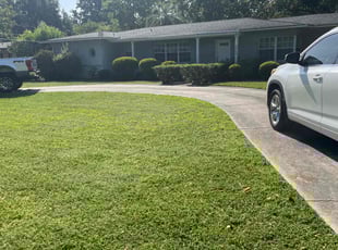 Caitlin M.'s Yard Cutting service result