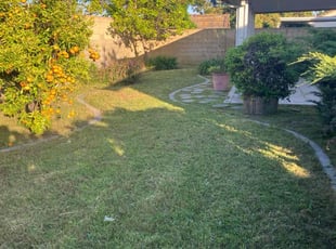 Ernie E.'s Lawn Care service result