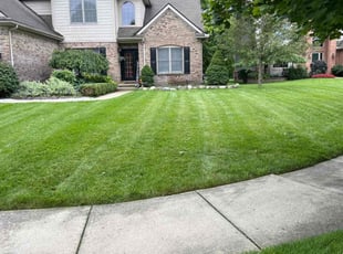 Shaunda W.'s Lawn Care service result