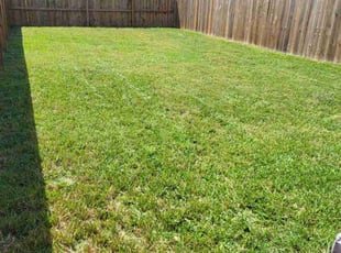 Shashi P.'s Lawn Care service result