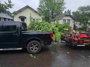 Bush Trimming by Natatia Frame for Donald C. in Minneapolis, MN