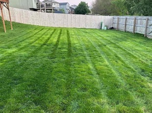Ron G.'s Lawn Mowing service result