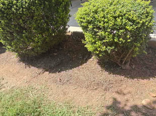 Weeding by B fleming for Andrea B. in Ellenwood, GA