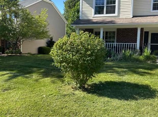 Marc M.'s Grass Cutting service result