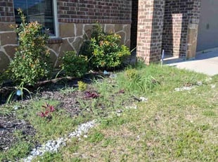 Cleanups by Marcedes Ginn for Lewis H. in Aubrey, TX