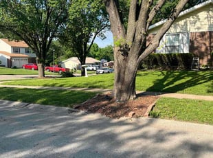 Demond W.'s Lawn Mowing service result